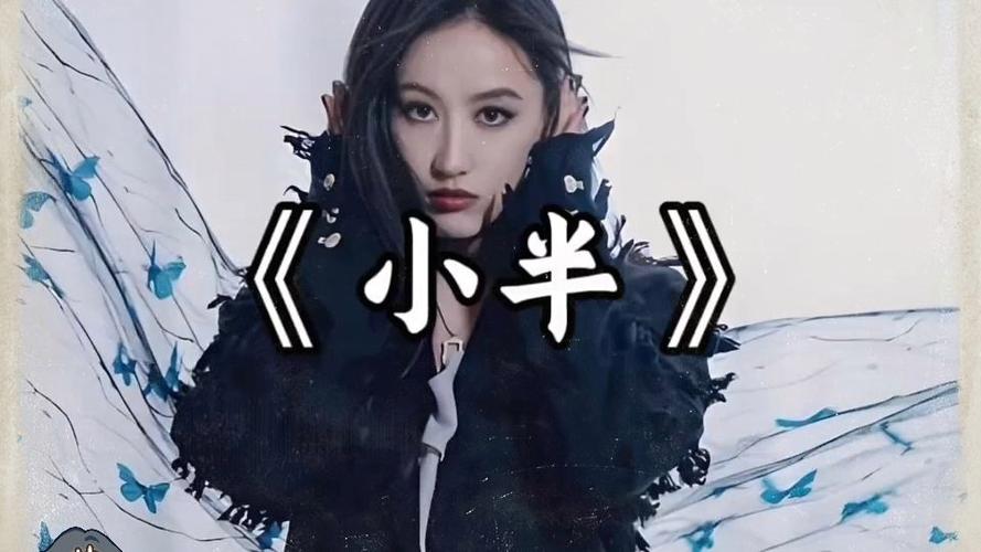 小半mv