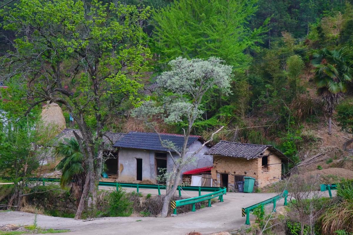 超级农民桃源山村