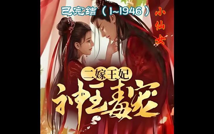 神王毒宠二嫁王妃