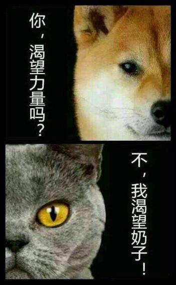 渴望力量powerlust攻略图标