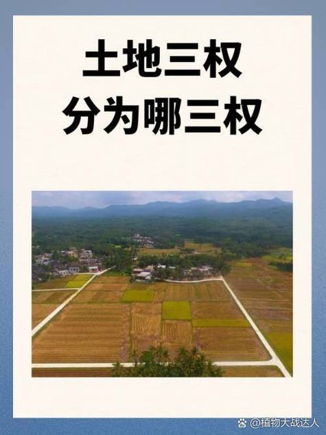 土地征收后所有权归属谁?