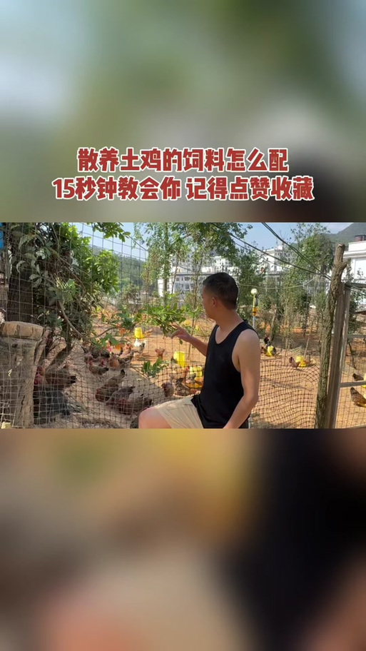 怎么喂鸡吃食