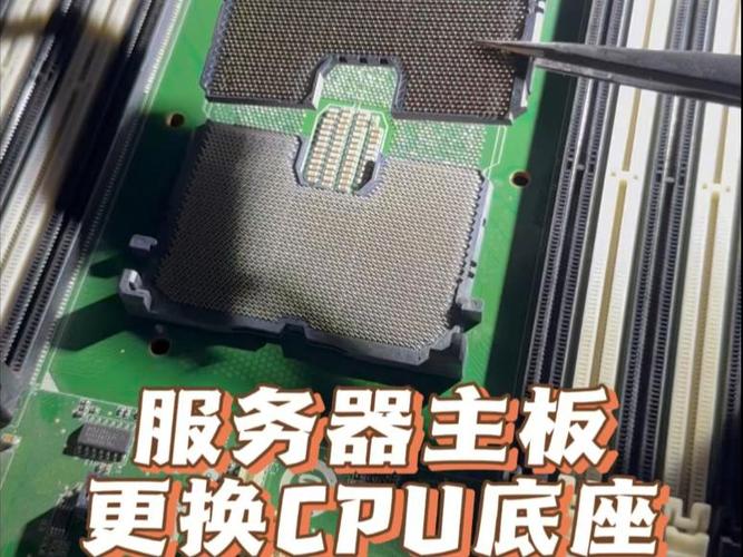 换主板需要换cpu吗