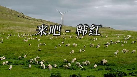 韩红 来吧