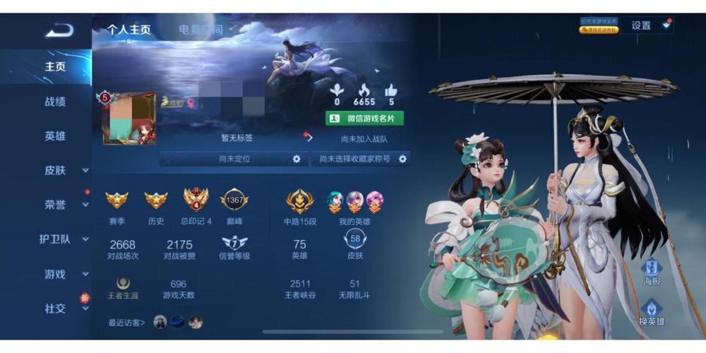 王者皮肤在哪里看到自己有多少个