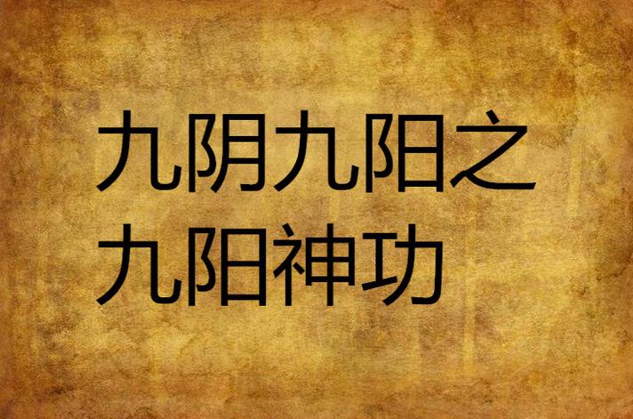 九阴九阴九阳女主是狐狸的小说图标