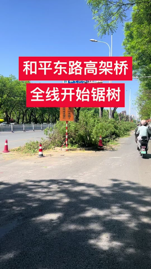 和平路高架东延开工