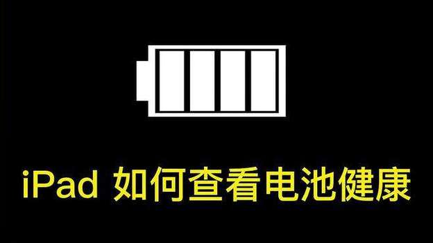 ipad看电池循环次数