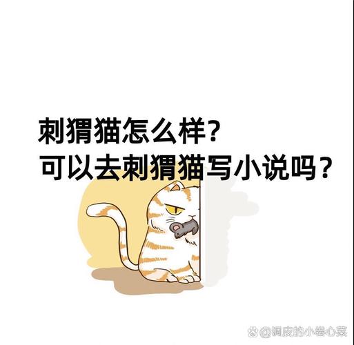 刺猬猫签书还是签人