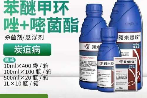 先正达阿米妙收治什么病