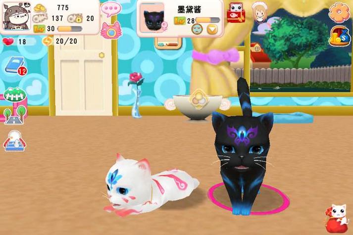 晴天小猫怎样可以养三只猫缩略图