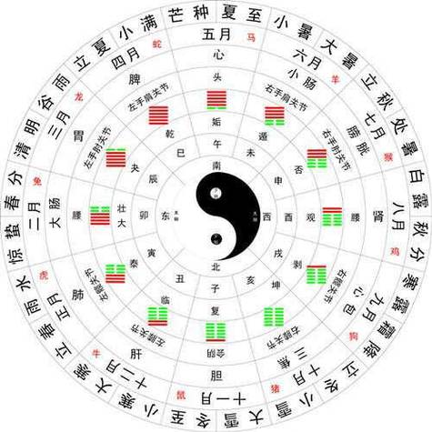 十二时辰口诀顺口溜图标