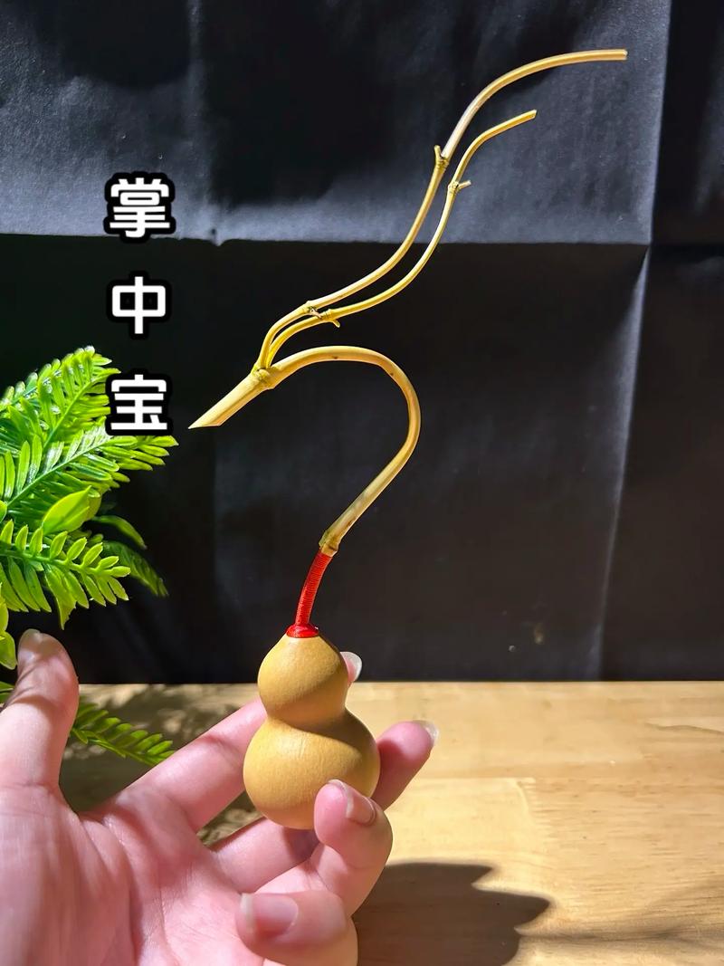 追觅牌手机图标