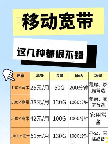 宽带最好的是多少兆