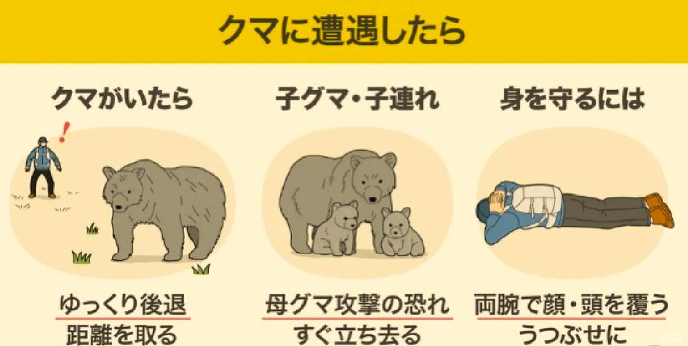 狗熊攻击出装