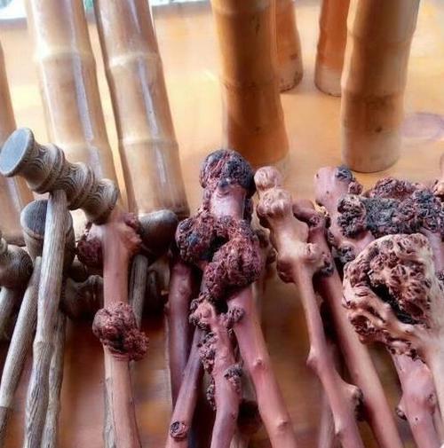 打狗棍是什么木头