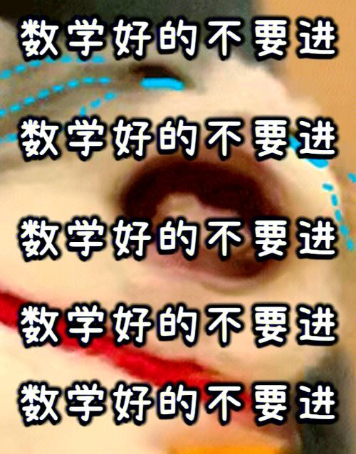 数学好提分吗