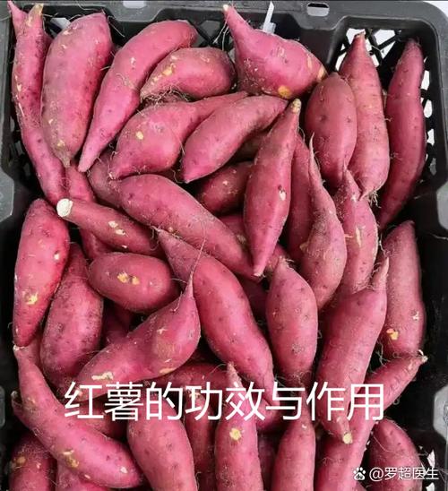 红薯对身体的好处