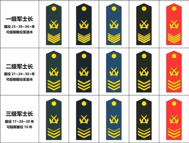 部队军士和士官的区别