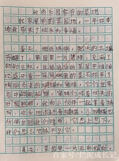 爷爷家的菜园作文900缩略图