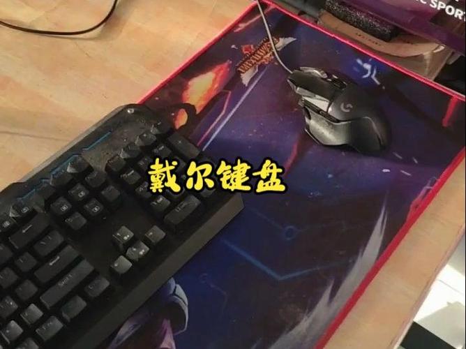 把usb卸载了鼠标键盘都不动了
