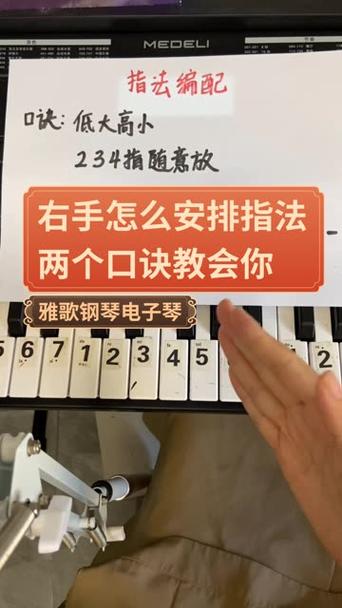 电子琴入门教程