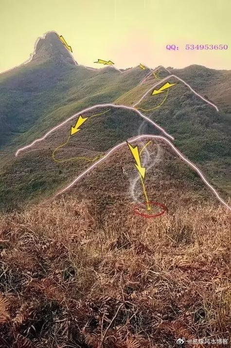 虎砂带曜星出什么人截图