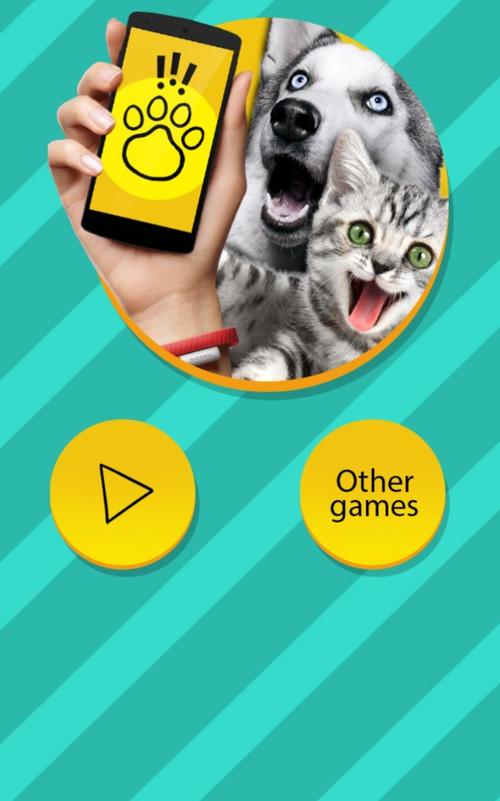 pet translator中文版下载截图