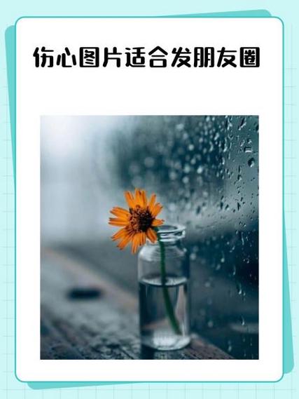 从一个人的朋友圈可以看出什么
