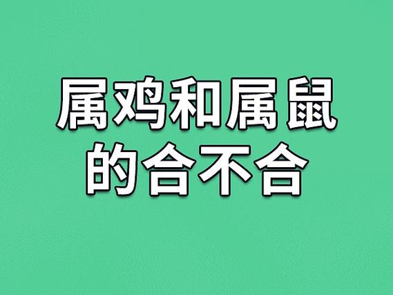 鸡和鼠怎么才能不相破