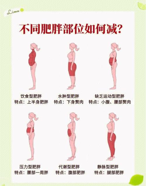减肥广揉才才