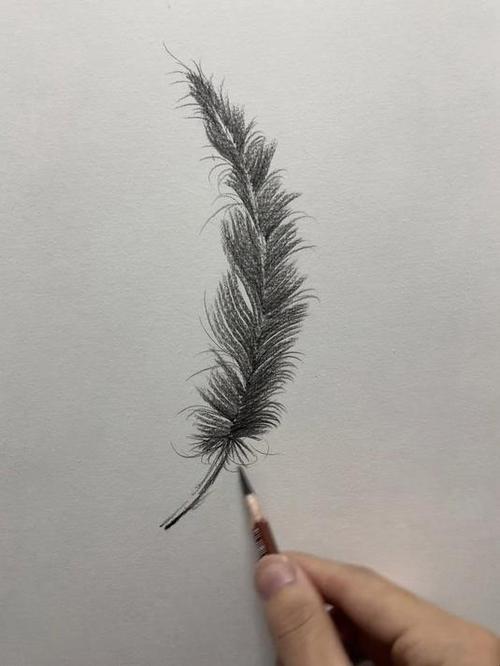 一二三年级画羽毛画缩略图