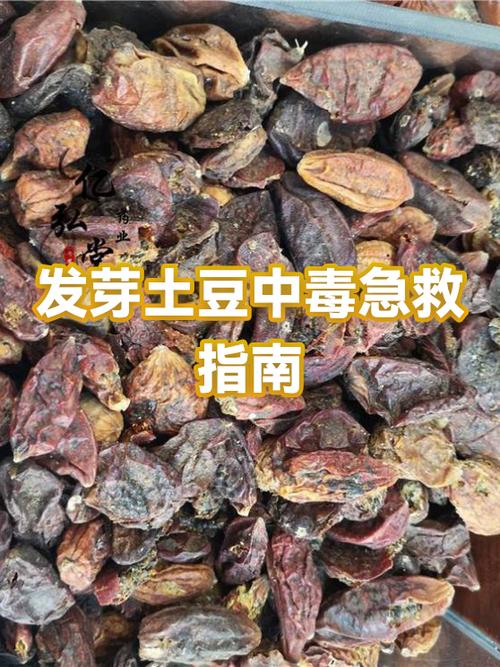 发芽土豆中毒的症状截图