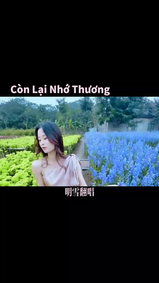 中文歌曲越南语翻唱