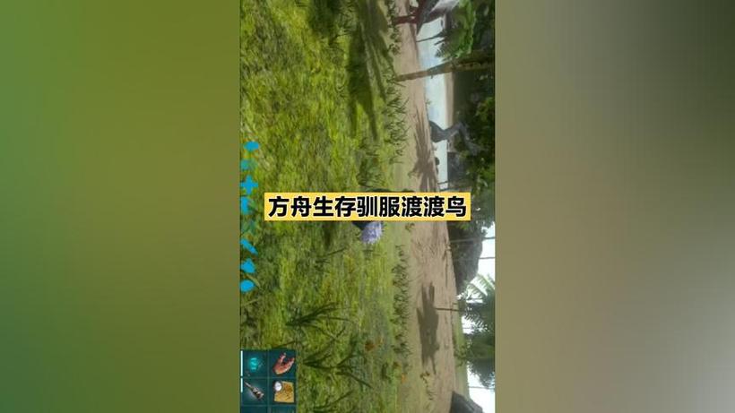 方舟渡渡鸟怎么驯服