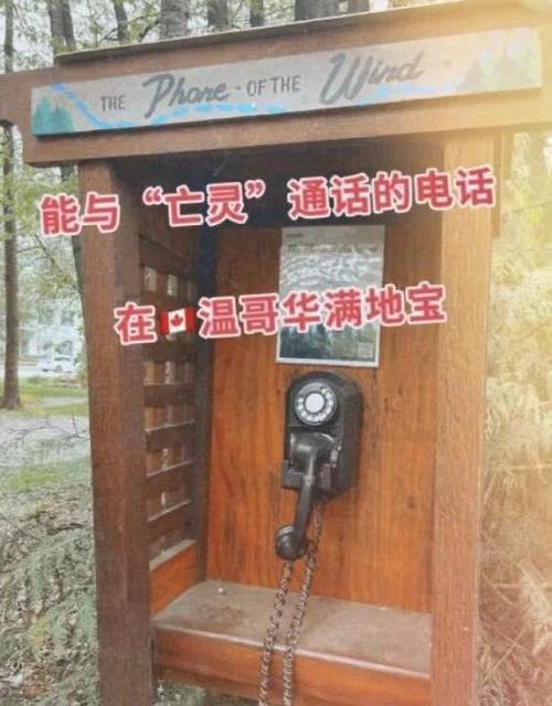 通话录音可以调出来吗图标