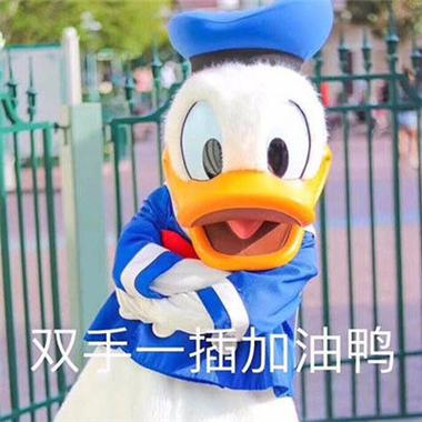 新的一年要加油鸭图片
