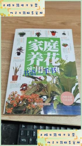 新手养花的10个技巧