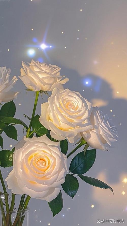 花壁纸图片大全 唯美高清