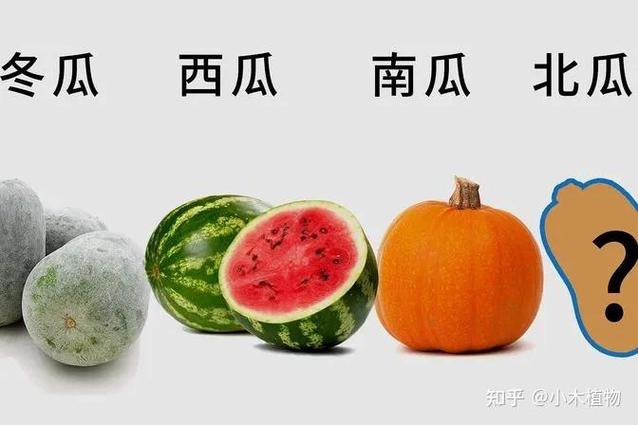 南瓜和西瓜隔多远能种图标