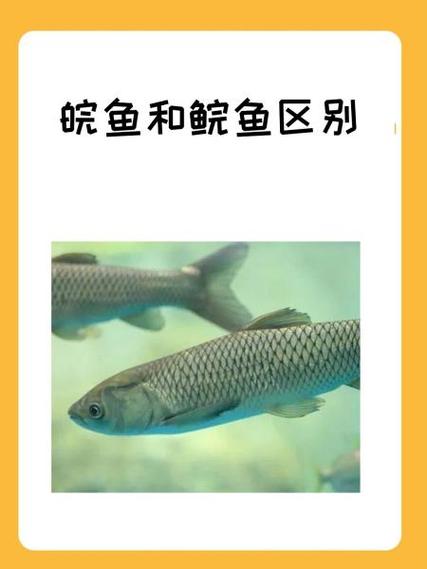 fish检测纳入医保了吗