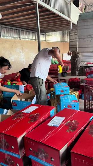 石榴打包视频图标