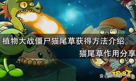 植物大战僵尸95版猫尾草怎么获得