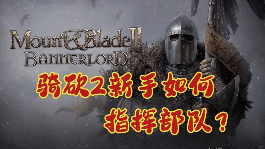 骑马与砍杀2如何控制部队图标