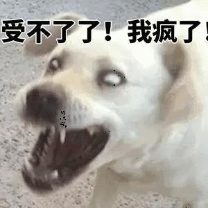 生气表情包