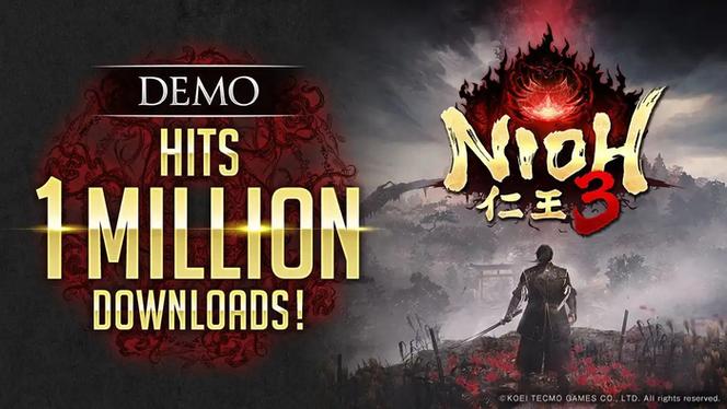 switch仁王