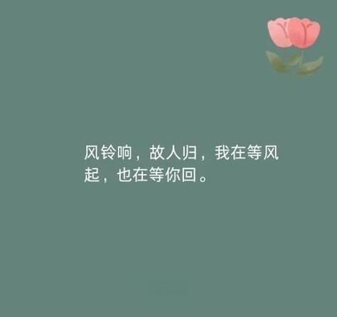 《南风慢慢起》txt