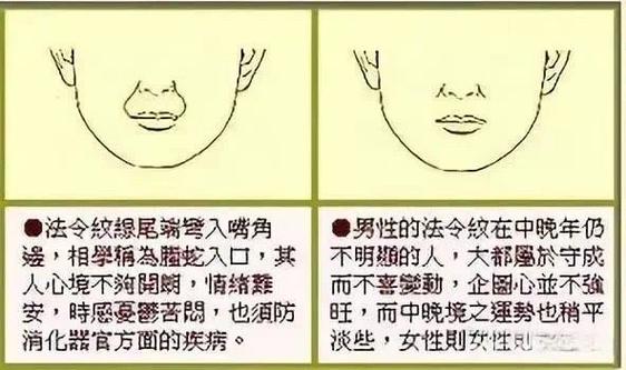 腾蛇入口的标准图