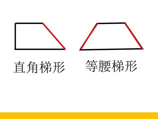 所有直角都是什么
