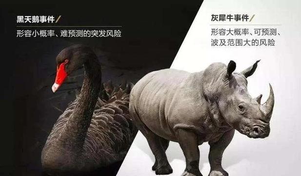 黑天鹅深度解读